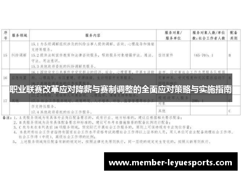 职业联赛改革应对降薪与赛制调整的全面应对策略与实施指南