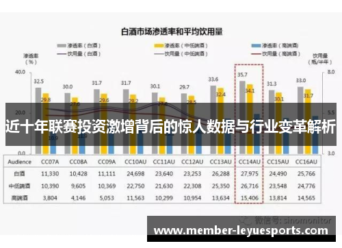 近十年联赛投资激增背后的惊人数据与行业变革解析
