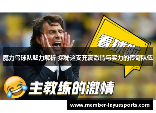 魔力鸟球队魅力解析 探秘这支充满激情与实力的传奇队伍 魔力鸟球队魅力解析 探秘这支充满激情与实力的传奇队伍