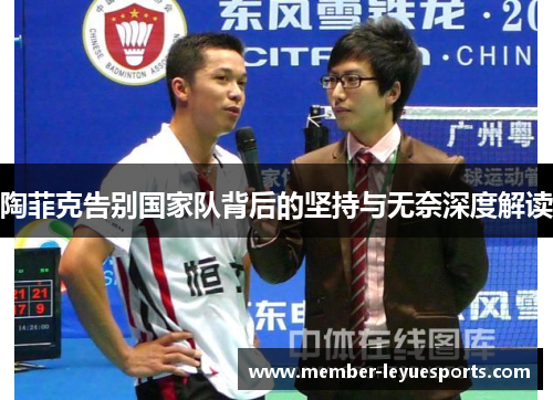 陶菲克告别国家队背后的坚持与无奈深度解读 陶菲克告别国家队背后的坚持与无奈深度解读