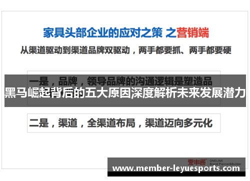黑马崛起背后的五大原因深度解析未来发展潜力